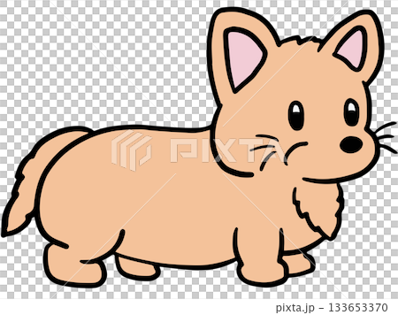 Cute hand drawn illustration of corgi puppy for decoration, dog cartoon, characters, comic, pet shop, vet, adopt and rescue animal, foster home, shelter, house, home, furniture, park, yard, playtime Cute hand drawn illustration of corgi puppy for decoration, dog cartoon, characters, comic, pet shop, vet, adopt and rescue animal, foster home, shelter, house, home, furniture, park, yard, playtime 133653370