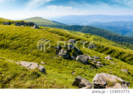 green alpine meadows in carpathian mountains of ukraine in summer. stones on grassy hills. popular travel destination for photo on a sunny morning. beautiful place for outdoor adventure under blue sky 133653772