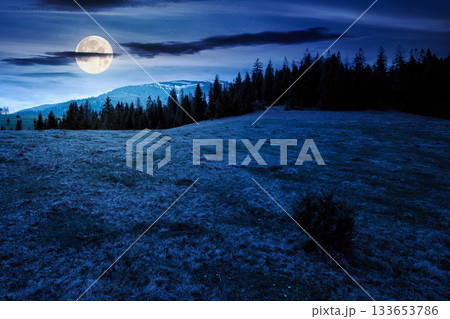 mountain landscape with spruce forest in spring at night. meadow on the hill on a in full moon light. distant range with peaks in snow under sky with clouds. beautiful countryside scenery mountain landscape with spruce forest in spring at night. meadow on the hill on a in full moon light. distant range with peaks in snow under sky with clouds. beautiful countryside scenery 133653786