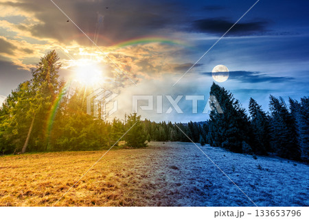 wonderful countryside landscape in spring. day and night time change concept. row of spruce trees on a hill with sun and moon. meadow in weathered grass. cloudy sky. harmony and progress calendar 133653796