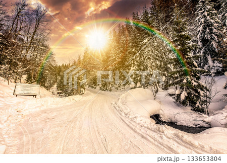 winter mountain landscape at sunset. empty winding road through fir forest covered with snow in evening light. leadership corporate wallpaper under the rainbow 133653804