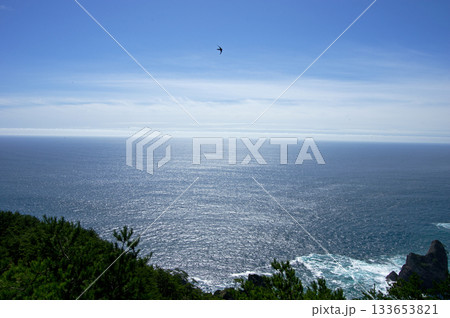 岩手県、北山崎からの展望。朝の広大な青い海の空に一羽のウミツバメが舞い、印象的だ。 岩手県、北山崎からの展望。朝の広大な青い海の空に一羽のウミツバメが舞い、印象的だ。 133653821
