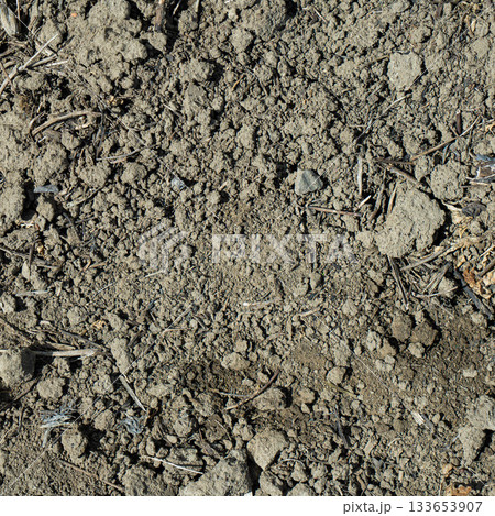 Close-up of a gray-black lava texture on the ground. Porous, cracked, and stony, perfect as a stock texture or photo background. Impression of molten rock. Close-up of a gray-black lava texture on the ground. Porous, cracked, and stony, perfect as a stock texture or photo background. Impression of molten rock. 133653907