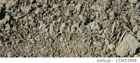 Close-up of a gray-black lava texture on the ground. Porous, cracked, and stony, perfect as a stock texture or photo background. Impression of molten rock. Close-up of a gray-black lava texture on the ground. Porous, cracked, and stony, perfect as a stock texture or photo background. Impression of molten rock. 133653909