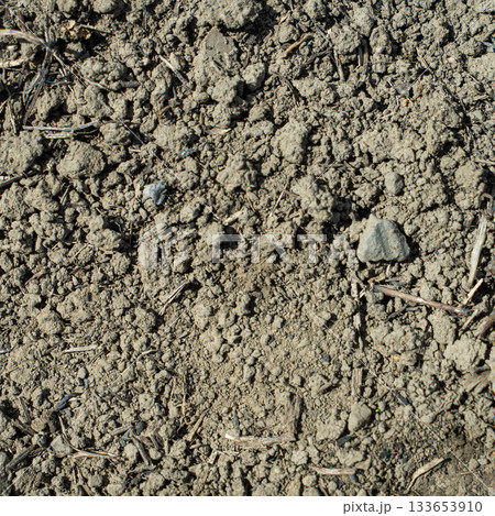 Close-up of a gray-black lava texture on the ground. Porous, cracked, and stony, perfect as a stock texture or photo background. Impression of molten rock. Close-up of a gray-black lava texture on the ground. Porous, cracked, and stony, perfect as a stock texture or photo background. Impression of molten rock. 133653910