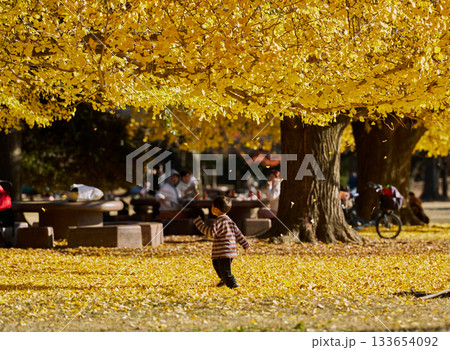 黄金の落葉の中を歩く小さな探検家 133654092