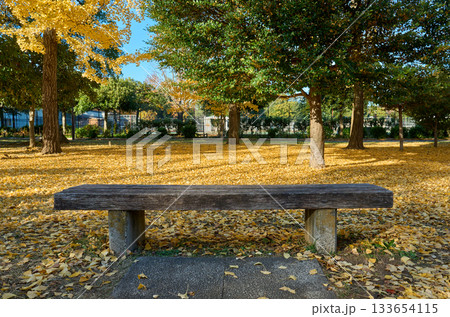 銀杏の落葉に包まれた公園のベンチ 133654115