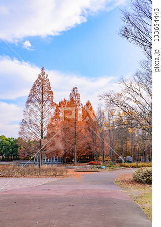 杜の都仙台 秋の七北田公園を歩む 杜の都仙台 秋の七北田公園を歩む 133654443
