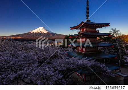 【山梨県_富士吉田市】富士山の夜明けと桜満開の新倉山浅間公園 4月 133654617