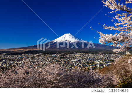 【山梨県_富士吉田市】富士山の夜明けと桜満開の新倉山浅間公園 4月 133654625