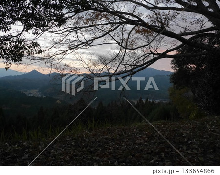 宇陀松山城跡からの景色と枯れ木 133654866