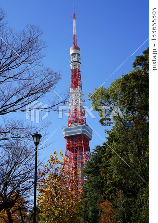 増上寺脇の道路から見た、昼の東京タワー　11月港区2299昼の東京タワー・増上寺脇の道路から 133655305