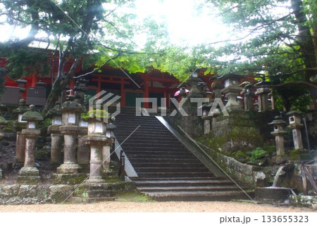 春日大社 133655323