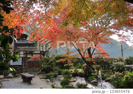 佐賀県基山町「大興善寺」の紅葉 133655478
