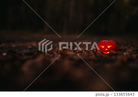 Jack o'Latern Halloween in the Woods. Halloween Decoration. Jack o'Latern Halloween in the Woods. Halloween Decoration. 133655643