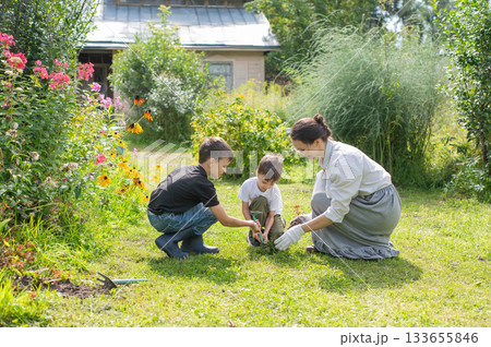 Caucasian woman tending her garden with her sons. Caucasian woman tending her garden with her sons. 133655846