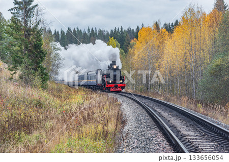 Steam retro train moves in the autumn forest. 133656054