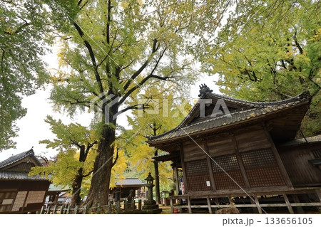 佐賀県みやき町「綾部八幡神社」の銀杏 133656105