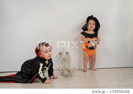 Cute kids celebrate halloween on white background. Two little boys in dracula costume and pumpkin.  133656298