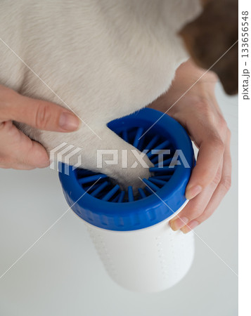 The owner washes the dog's paws in a special device. The owner washes the dog's paws in a special device. 133656548