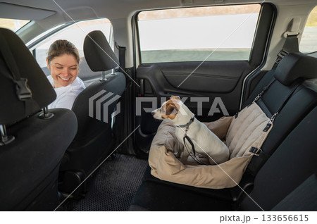 Caucasian woman travels by car with her dog. Jack Russell Terrier in a special car seat.  133656615
