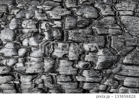 Black burnt wood texture background 133656828