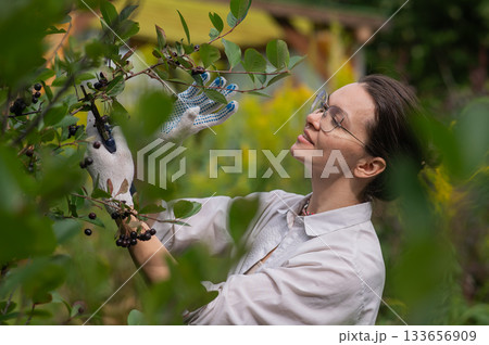 Young Caucasian woman trimming bushes. Young Caucasian woman trimming bushes. 133656909