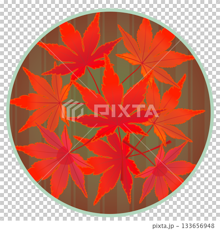 Illustration of autumn maple leaves with a circular background Illustration of autumn maple leaves with a circular background 133656948
