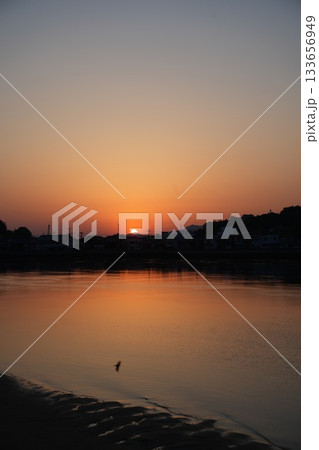 早起きしてみる朝日と鳥 133656949