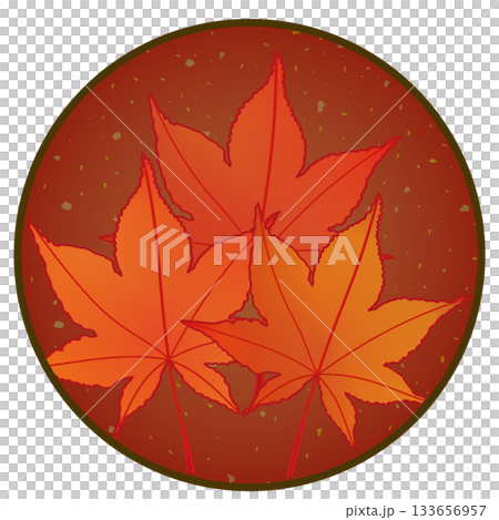 円形背景のついた紅葉したモミジの葉っぱのイラスト 円形背景のついた紅葉したモミジの葉っぱのイラスト 133656957