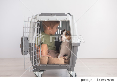 Little child in a cage with a Jack Russell Terrier dog. Little child in a cage with a Jack Russell Terrier dog. 133657046
