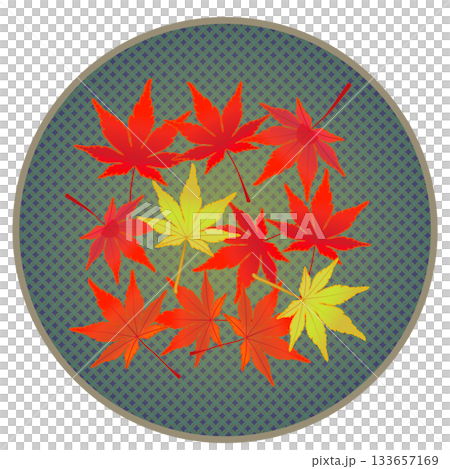 Illustration of autumn maple leaves with a circular background Illustration of autumn maple leaves with a circular background 133657169