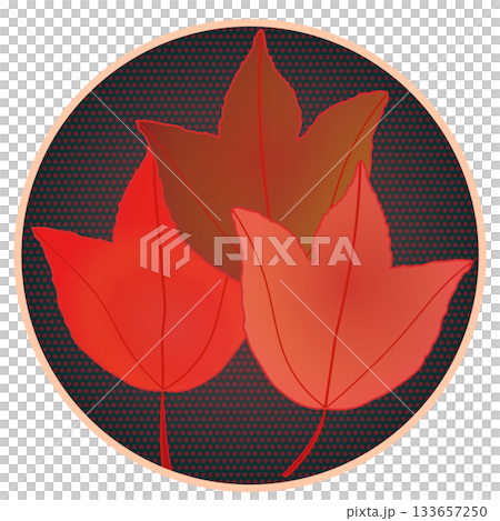 Illustration of a maple leaf in autumn color with a circular background Illustration of a maple leaf in autumn color with a circular background 133657250