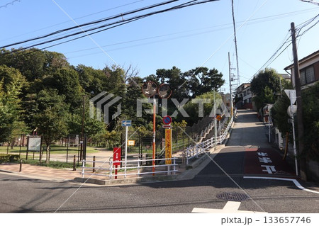 大田区 佐伯山緑地 大田区 佐伯山緑地 133657746