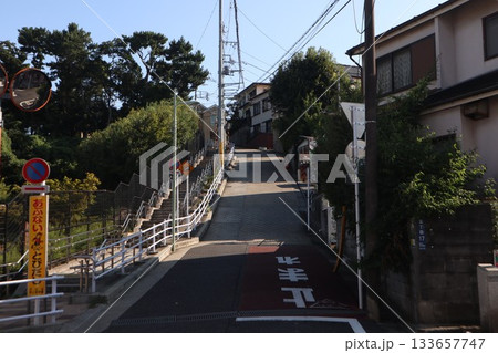 大田区 佐伯山緑地 大田区 佐伯山緑地 133657747