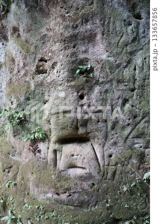 横須賀沖に浮かぶ無人島・猿島 猿の顔に見える岩 横須賀沖に浮かぶ無人島・猿島 猿の顔に見える岩 133657856