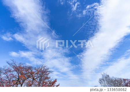 秋空と雲と木立 秋空と雲と木立 133658082