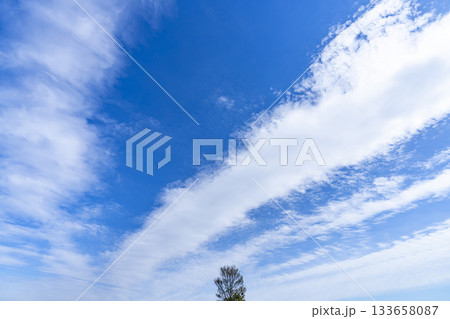 秋空と雲と木立 秋空と雲と木立 133658087
