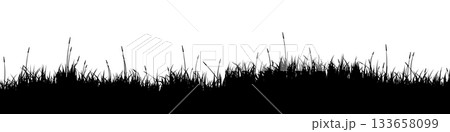 Meadow silhouette with grass, plants on plain. Panoramic summer lawn landscape with herbs, various weeds. Herbal border, frame element. Black horizontal banners. Vector illustration Meadow silhouette with grass, plants on plain. Panoramic summer lawn landscape with herbs, various weeds. Herbal border, frame element. Black horizontal banners. Vector illustration 133658099