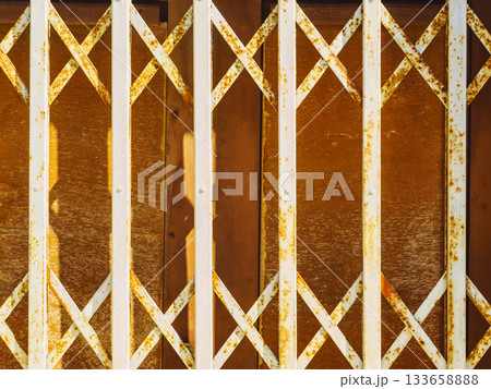 steel grid closed entrance door steel grid closed entrance door 133658888