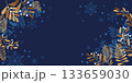 冬のボタニカル背景、雪結晶とボタニカルパターンイラスト 133659030