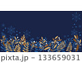 冬のボタニカル背景、雪結晶とボタニカルパターンイラスト 133659031