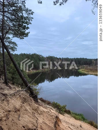 Tranquil river landscape surrounded by pine trees on a cloudy day 133659049