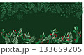 冬のボタニカルリーフとベリーの背景素材、ボタニカルクリマスフレーム 133659205