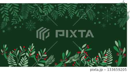 冬のボタニカルリーフとベリーの背景素材、ボタニカルクリマスフレーム 133659205