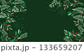 冬のボタニカルリーフとベリーの背景素材、ボタニカルクリマスフレーム 133659207