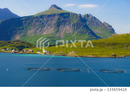 Salmon farming, fish farm in the sea Salmon farming, fish farm in the sea 133659428