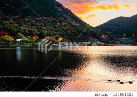 藺牟田池の紅葉と夕暮れの湖畔　秋の静かな風景 133661528