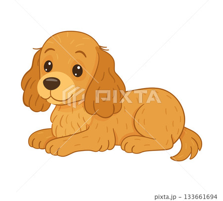 Cocker Spaniel lying down with friendly, happy expression. flat style vector illustration Cocker Spaniel lying down with friendly, happy expression. flat style vector illustration 133661694