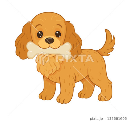 Cocker spaniel standing with large bone in mouth. Flat style vector illustration. Cocker spaniel standing with large bone in mouth. Flat style vector illustration. 133661696